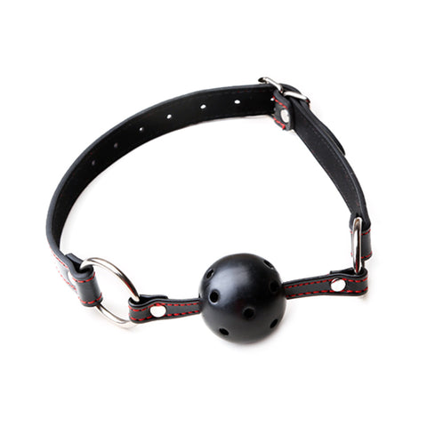 Black Leather Red Line Ball Gag