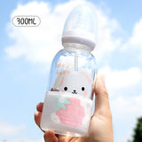 Glass Water Bottle With Straw