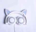 Cat Ear headphones LED  Flashing and Glowing