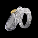 Male Chastity Device With Size Penis Ring