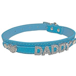 Daddy Dom DDLG/ ABDL Leather Collar